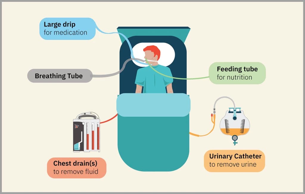 drains-and-tubes